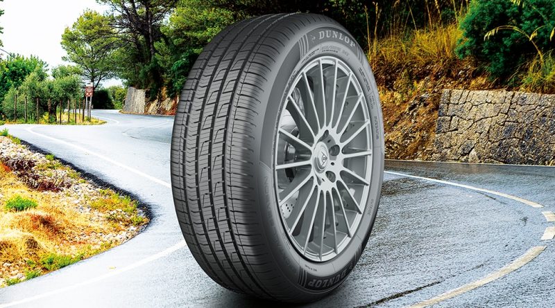 10 - Dunlop-alarga