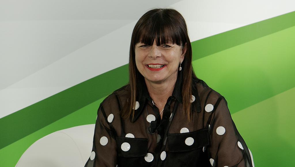 11 - Façam-da-resiliência