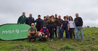 03 - Continental ja plantou mais de 2.500 arvores em Portugal