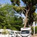 Bridgestone apresenta novo Duravis Camper All Season